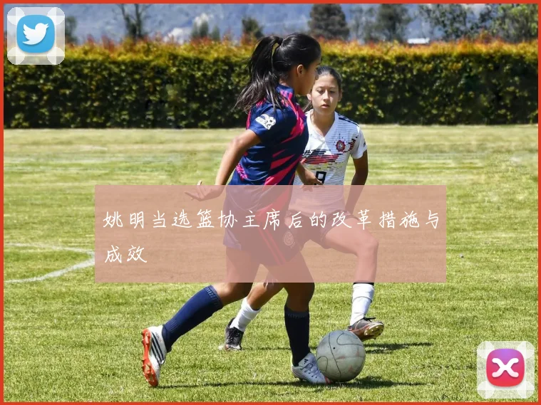 姚明当选篮协主席后的改革措施与成效