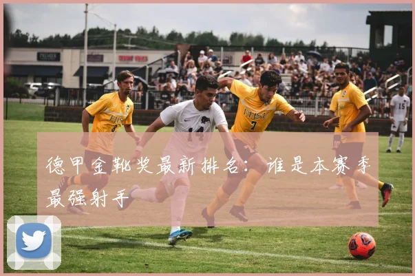 德甲金靴奖最新排名：谁是本赛季最强射手